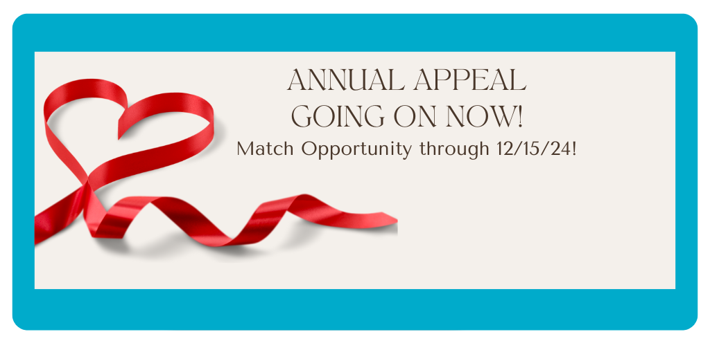 Annual appeal going on now